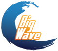 BIG WAVE GROUP