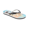 ARJL100869LC
